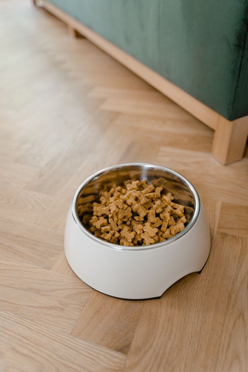 Pet feeding bowl with dry food, the slow feeder and lick mat category
